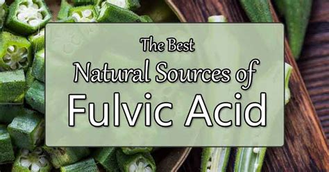 6 Best Natural Sources of Fulvic Acid - Superfood Journal