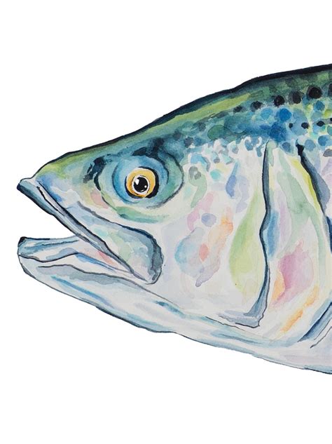 Striped Bass Watercolor Print. Fish Art. Fish Print. Coastal - Etsy