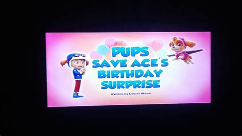 Pups Save Ace's Birthday Surprise Title Card - YouTube