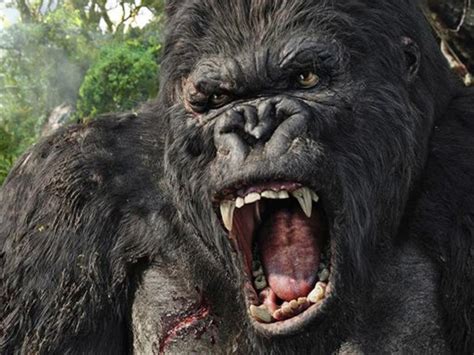 King Kong - CBS News