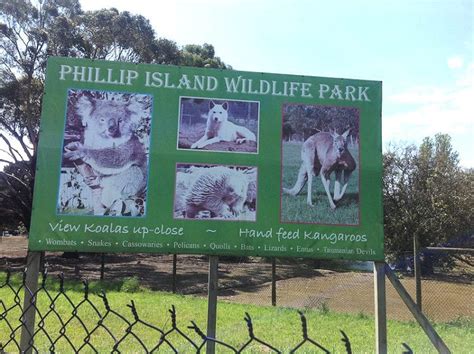 Phillip Island Wildlife Park | Phillip Island Holidays