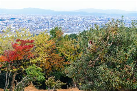 Visiting Arashiyama from Kyoto / Bamboo Forest and Monkey Park