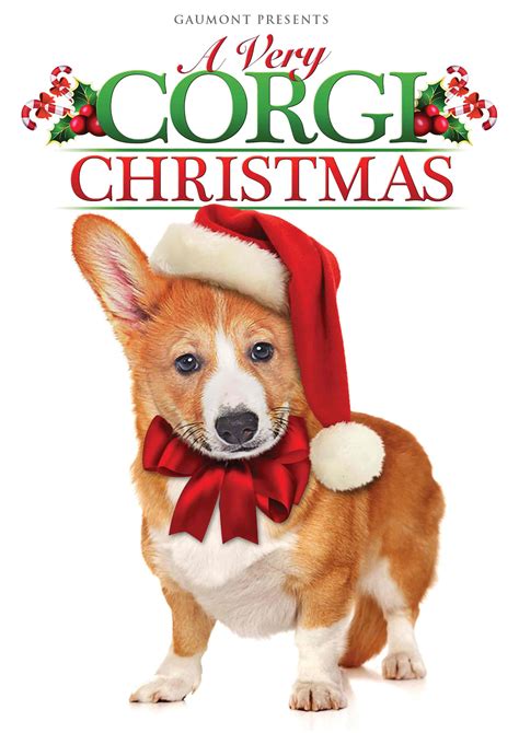 A Very Corgi Christmas - Where to Watch and Stream - TV Guide