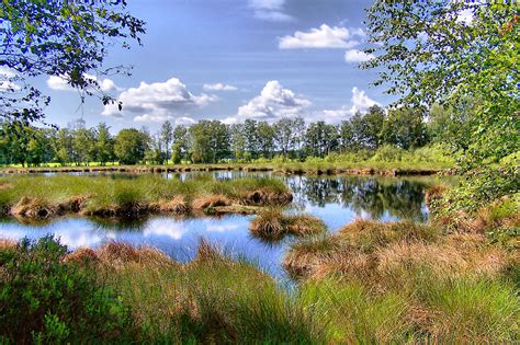 Schwarzes Flath, Moor im Kreis Rotenburg/Wümme Foto & Bild | deutschland, europe, niedersachsen ...