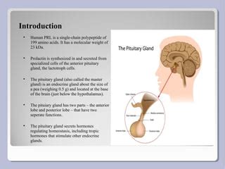 Prolactin hormone | PPT