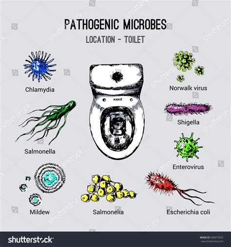 Vektor Stok Pathogenic Microbes Their Habitats Types Microorganisms (Tanpa Royalti) 639977023