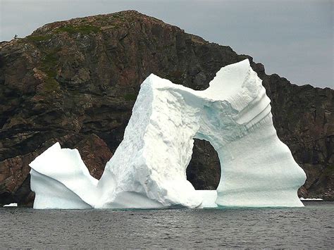 Twillingate Tourism, Newfoundland, Canada | Newfoundland travel ...