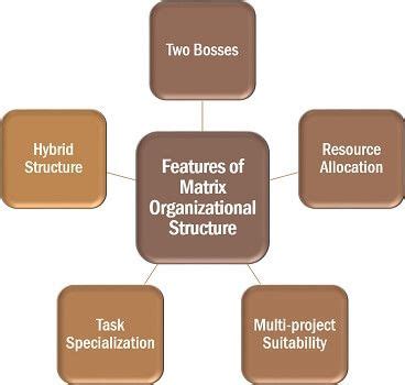 What is Matrix Organizational Structure? Definition, Roles, Features ...