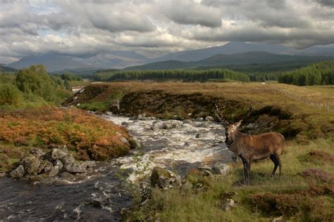 10 Most Beautiful National Parks and Reserves in Scotland – Touropia Travel