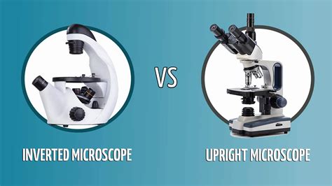 Inverted Vs Upright Microscope