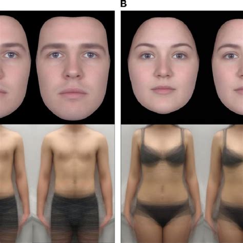 Feminine Face Vs Masculine Face