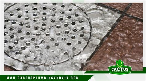 Slow Shower Drain Causes: What You Need to Know