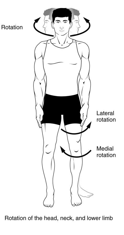 Internal And External Rotation