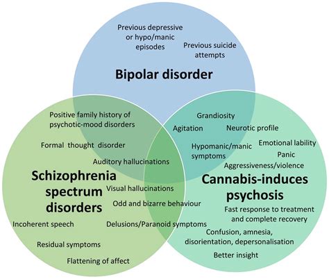 Cannabis induced psychosis – Artofit