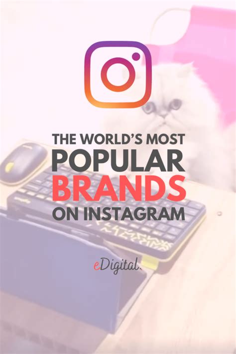 THE TOP 10 MOST POPULAR BRANDS ON INSTAGRAM IN 2024 - eDigital Agency