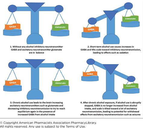 Effects of Short-Term and Chronic Alcohol Use on GABA and Glutamate ...