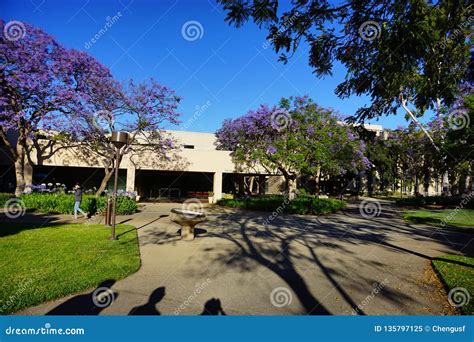 The campus of Caltech editorial image. Image of library - 135797125