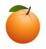 Orange fruit free clipart jpg – Clipartix