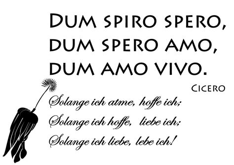 Dum spiro spero, Dum spero amo, Dum amo vivo. Dum Spiro Spero Tattoo ...