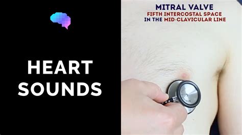 Heart murmur sounds (cardiac auscultation sounds) | UKMLA | CPSA | PLAB 2 - YouTube