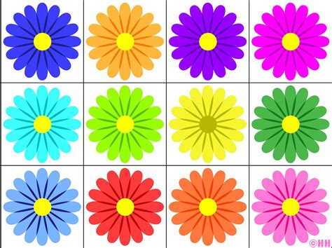 Solve flowers jigsaw puzzle online with 35 pieces