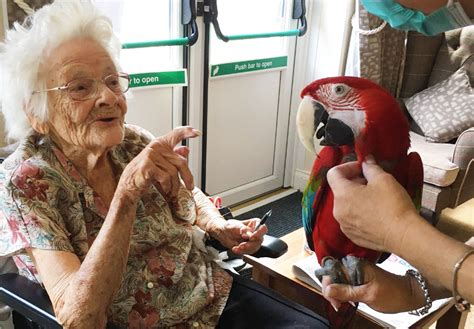 ISLE OF WIGHT PARROT RESCUE ENTERTAINS CARE HOME RESIDENTS - Island ...