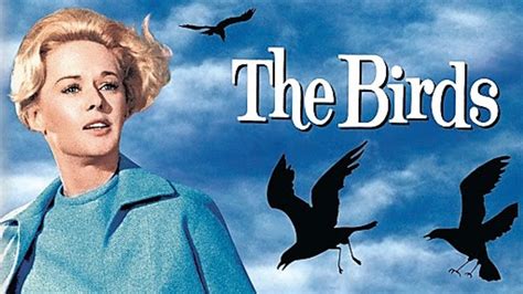 The Birds (1963) Film Review | ReelRundown