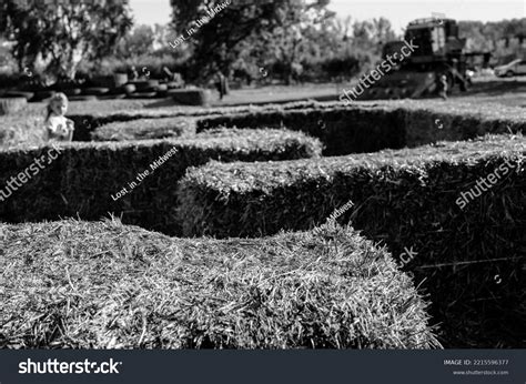 Straw Bale Maze Child Going Along Stock Photo 2215596377 | Shutterstock