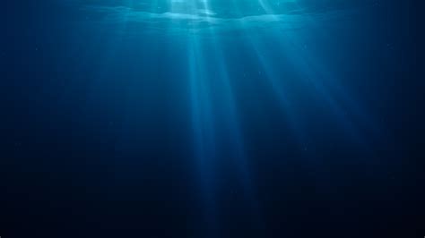 19 Amazing Mesopelagic Zone Facts - Facts.net