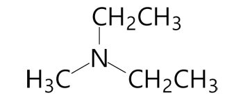 Draw the structure of the one tertiary (3^o) amine with molecular formula C_5H_13N that does not ...