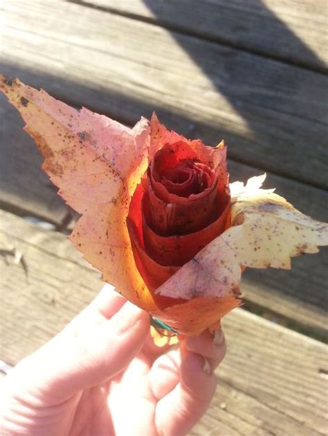 Leaf Roses | Hometalk