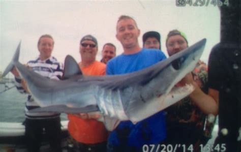 East Coast Charters Offshore Fishing Report - July 20, 2014 | FISHTRACK.COM