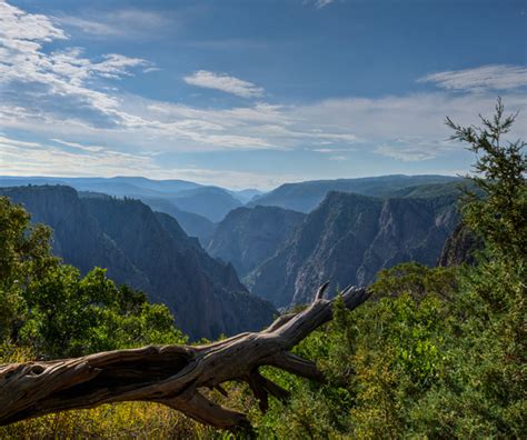 the black canyon | ACGPSY Blog