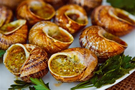 Exclusive Escargot - Snail Meal, Snail Food | Exclusive Escargot