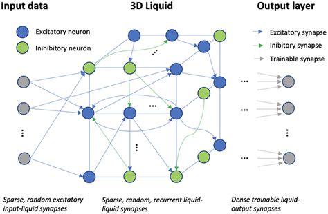 liquid neural network