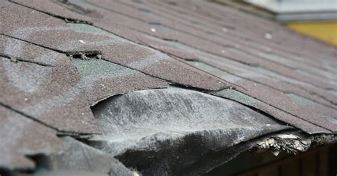 6 Things That Are Ruining Your Roof | TruBlue Roofing and Remodeling