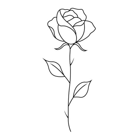 Rose Flower Outline Clip Art Free | Best Flower Site