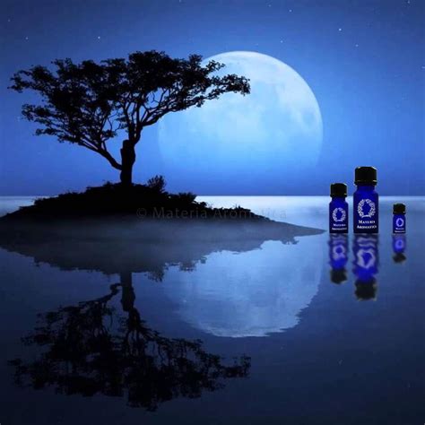 Peaceful Night :: Materia Aromatica