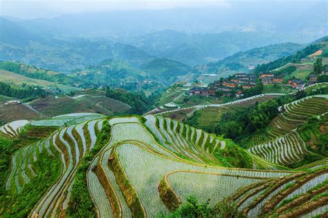 Longsheng Longji Rice Terraces - Guilin Attractions - China Top Trip