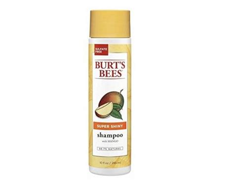 The Best Phthalate Free Shampoo Brands | Gentle Bubbles