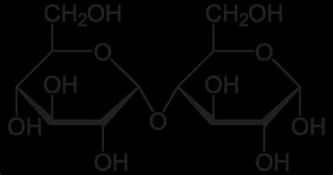 Cellobiose - Alchetron, The Free Social Encyclopedia