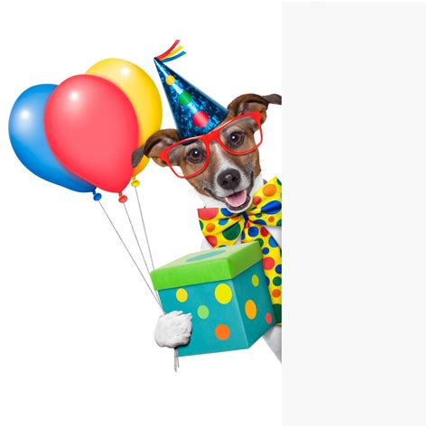 free birthday clipart with dogs 10 free Cliparts | Download images on Clipground 2024