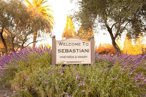 Sebastiani Vineyards and Winery - Sonoma, CA | Tock