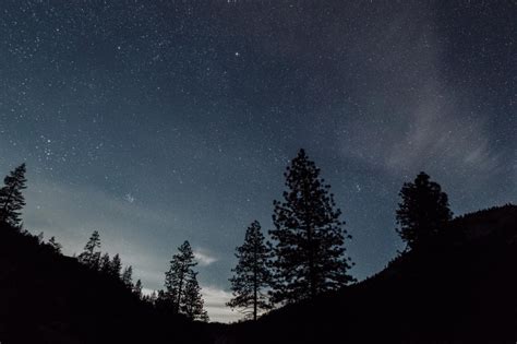 wallpaper starry sky, night, trees, landscape HD : Widescreen : High Definition : Fullscreen