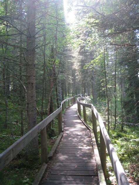 Vancouver Rains: Prince Albert National Park, Saskatchewan