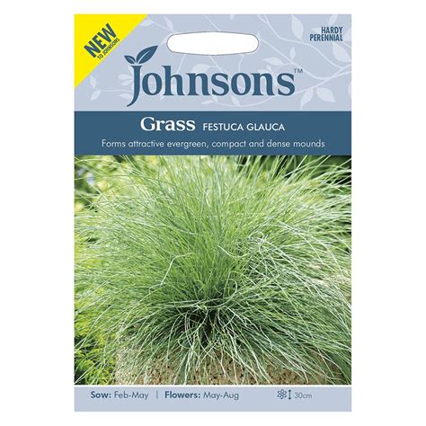 Johnsons Grass Festuca Glauca Seeds – DeWaldens Garden Centre