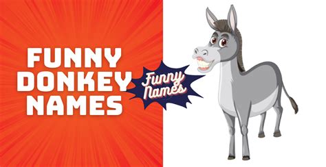 500+ Funny Donkey Names Unique Creative & Hilarious Ideas