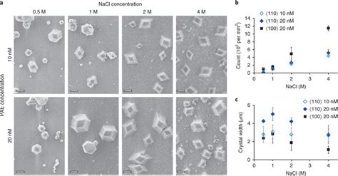 Salt concentration effects on crystal growth a, SEM images of oriented ...