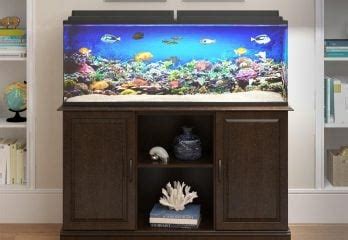 75 Gallon Aquarium Dimensions | Bruin Blog