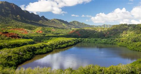 Lihue 2020: Top 10 Tours & Activities (with Photos) - Things to Do in Lihue, United States ...